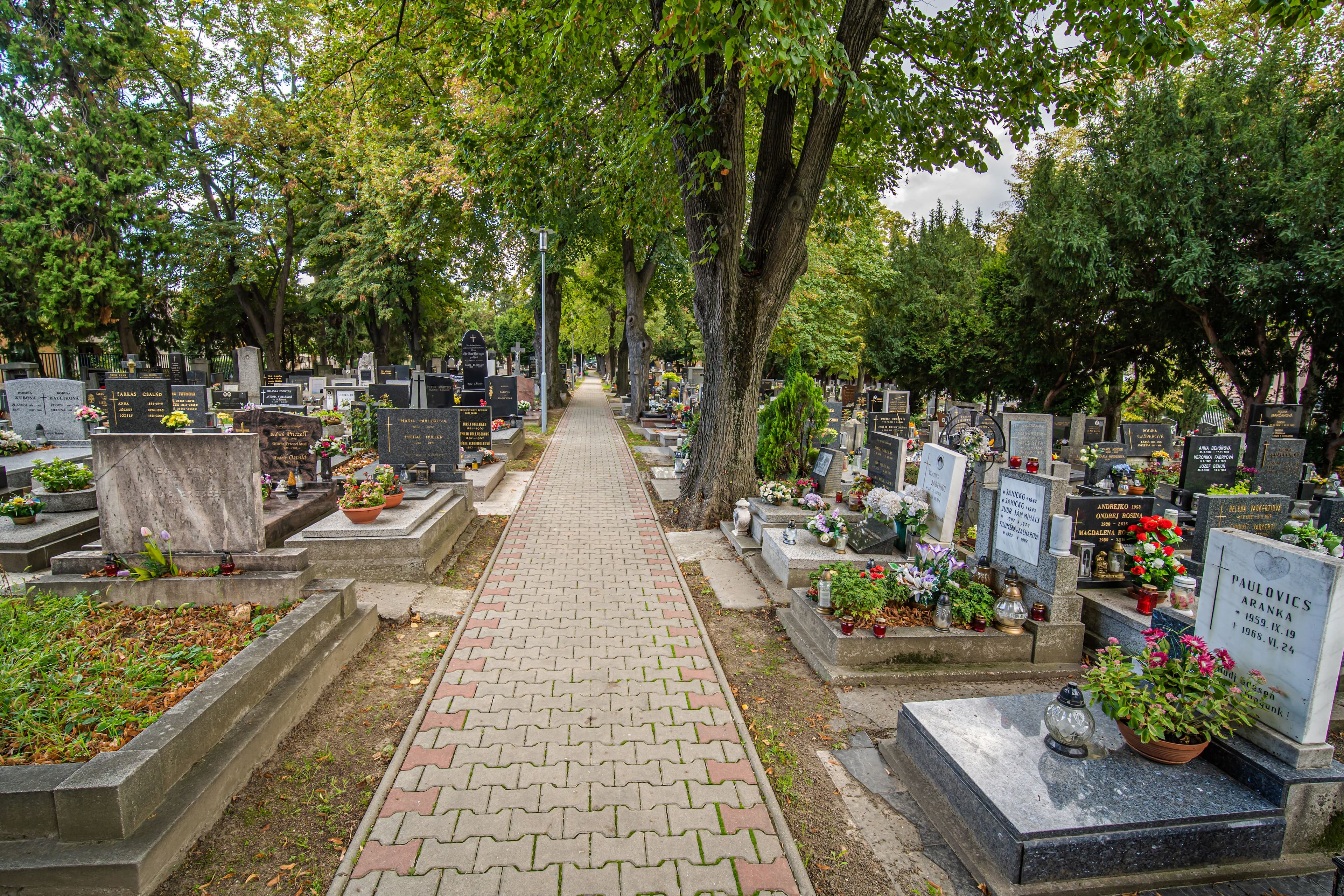 Cintorín Prievoz hrobové miesta