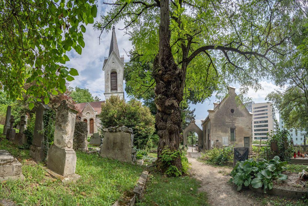 Historický Mikulášsky cintorín pohľad na vežu