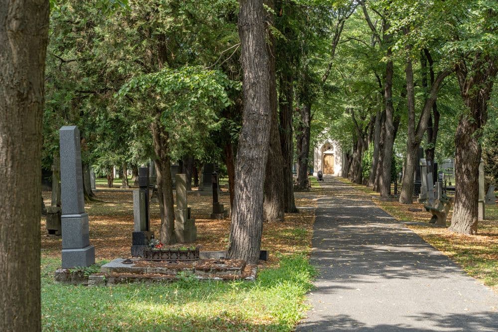 Historický Ondrejský cintorín pohľad na hrobové miesta
